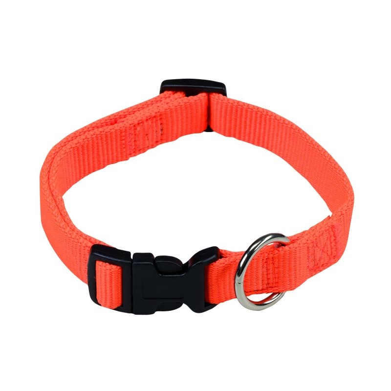 Hundehalsband – Orange, Größe L – Einfaches Nylon- Oder Lederhalsband Für Hunde