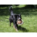 Farm-Land Hunde Frisbee Camo