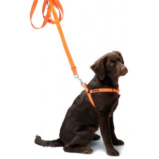 Farm-Land Hundegeschirr orange S
