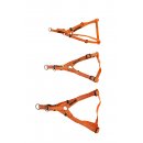 Farm-Land Hundegeschirr orange S