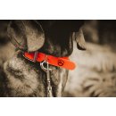 Farm-Land Hunde Halsung Basic signalorange