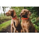 Farm-Land Hunde Halsung Basic signalorange