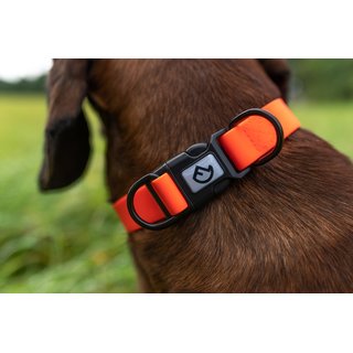 Farm-Land Halsband Verstellbar Signalorange 24-36 cm