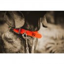 Farm-Land Hunde Halsung Basic signalgelb 40