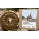 Wildlutscher Leckstein f&uuml;r Pferde und Ponys Mariendistelsamen 1,8 kg