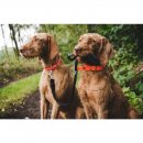 Farm-Land Hunde Halsung Basic signalgelb 45